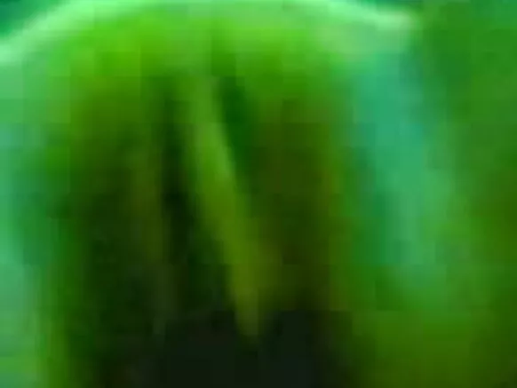 ਭਾਰਤ hollywood sexy movie hd ਵੈੱਬਕੈਮ ਜੋੜੇ ਲਈ