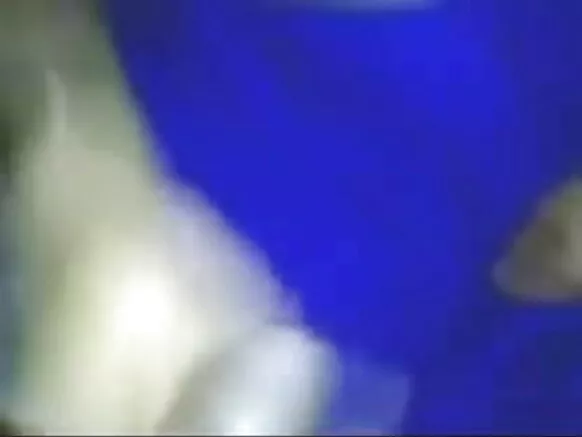 ਭਾਰਤੀ ਹੀਰੋਇਨ ਸੈਕਸੀ ਫਿਲਮ ਪਤਨੀ.