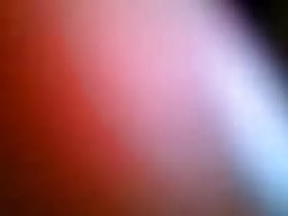 sexy animals sexy fake sex video