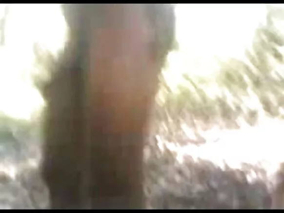 ਦੇਸੀ ਬੀਪੀ ਸੈਕਸ ਫੋਟੋ ਵਿੱਚ ਫੜੀ ਗਈ ਕੁੜੀ ਅਤੇ ਦੋਸਤ
