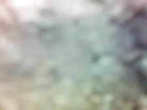 hidden animals sexy movie video ਬਾਥਰੂਮ ਓਹਲੇ ਬਾਥਰੂਮ