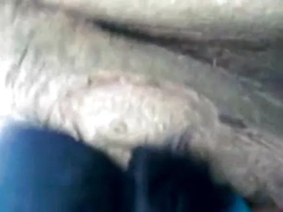 ਇੰਡੀਆ ਆਂਟੀ ਹਿੰਦੀ ਐਚਡੀ ਸੈਕਸੀ ਫਿਲਮ 1335